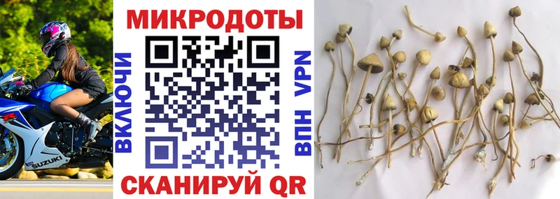 сколько стоит  Петровск  мега маркетплейс  Галлюциногенные грибы мицелий 